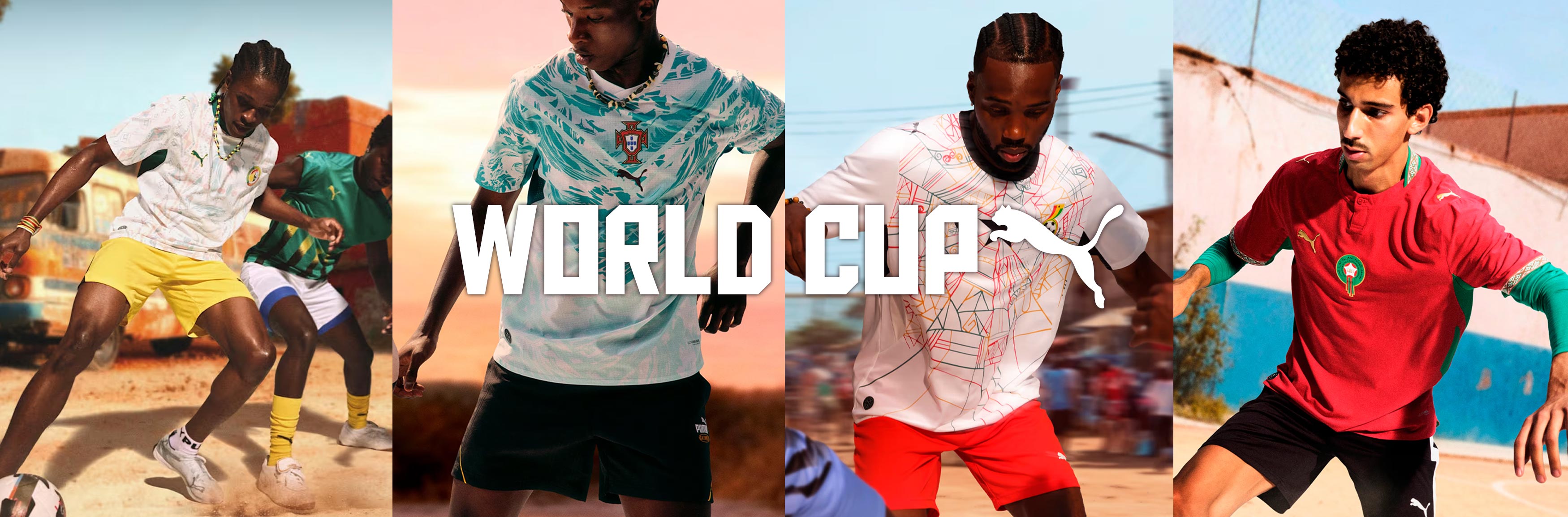 BANNER_pumaWC_pc.jpg
