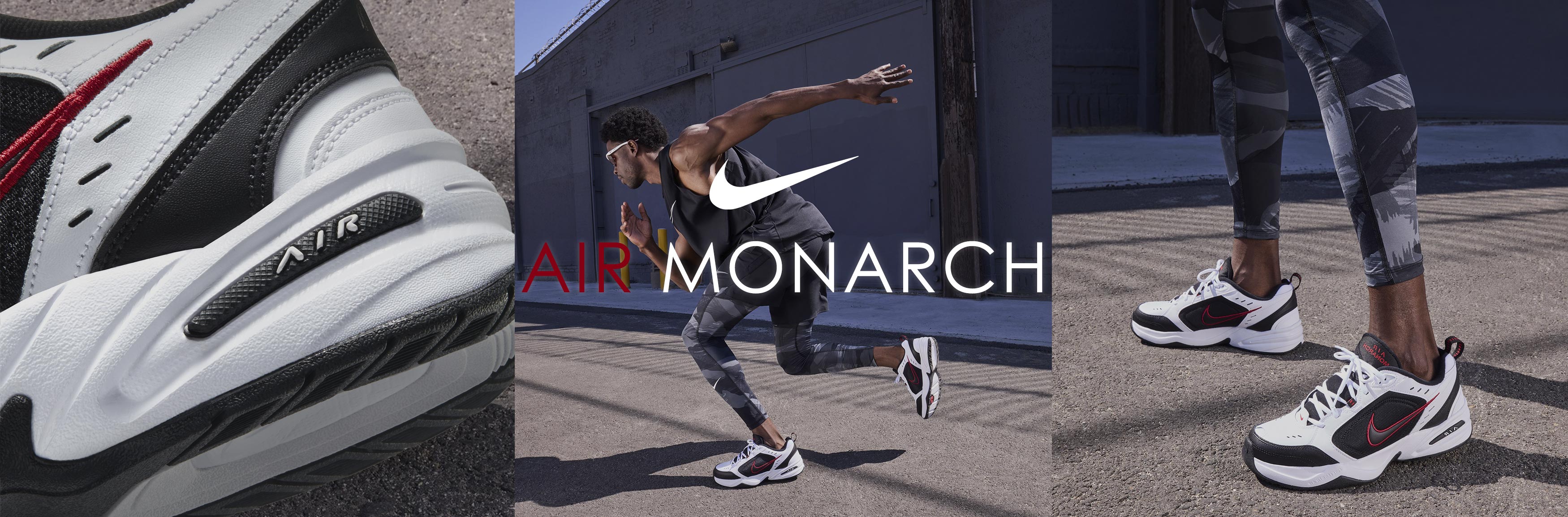 air_monarch_pc.jpg