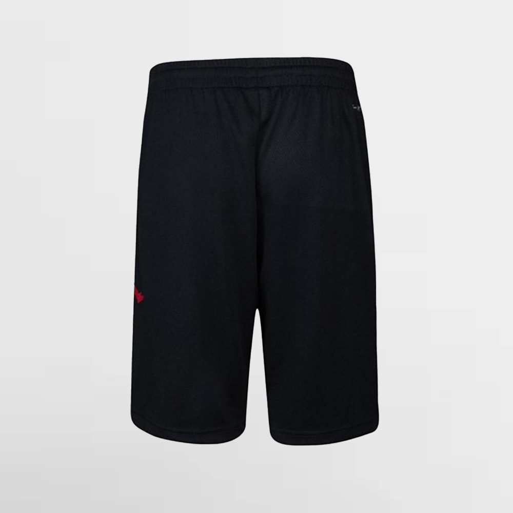 NIKE LK. JORDAN VERT MESHSHORT - 857176 023