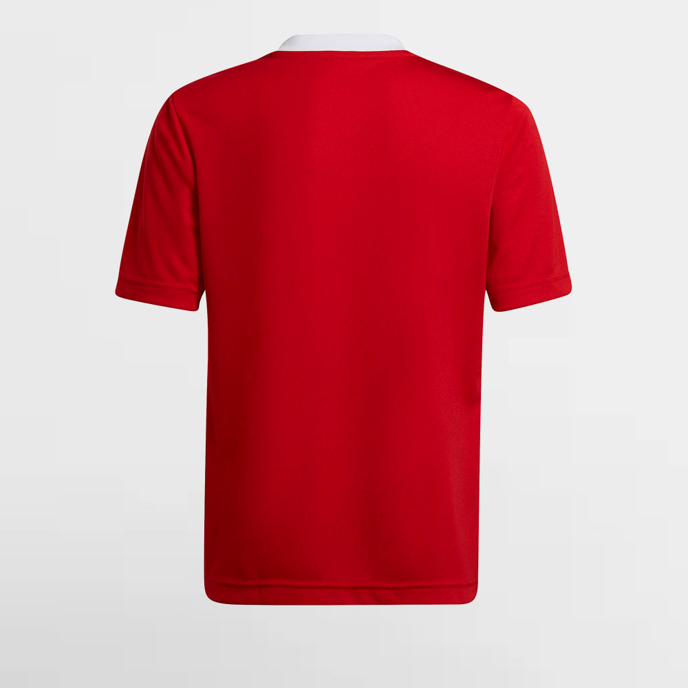 ADIDAS CAMISA K. ENT22 JSY - H57496