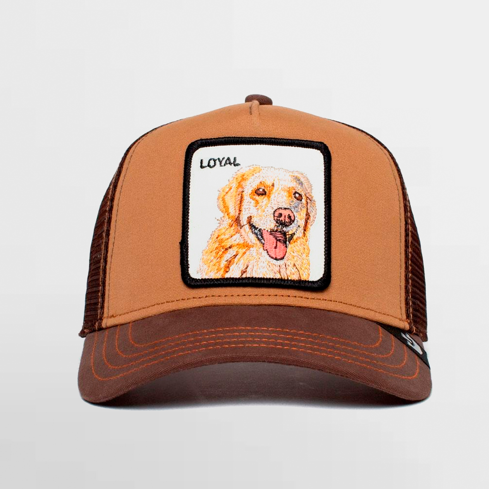 GOORIN GORRA THE LOYAL DOG - 101-0505-BRO