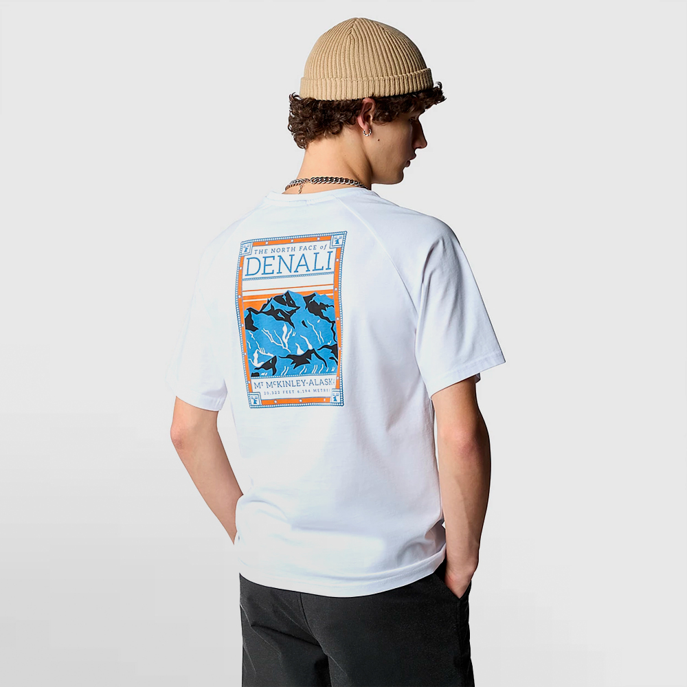 THE NORTH FACE CAMISETA S/S NORTH FACES TEE - NF0A87NUFN4
