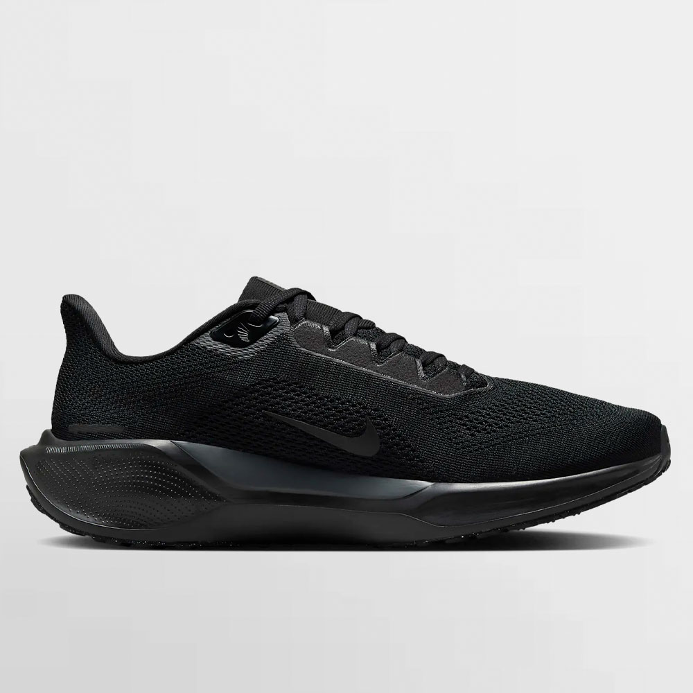 NIKE CALZADO PEGASUS 41 - FD2722 001