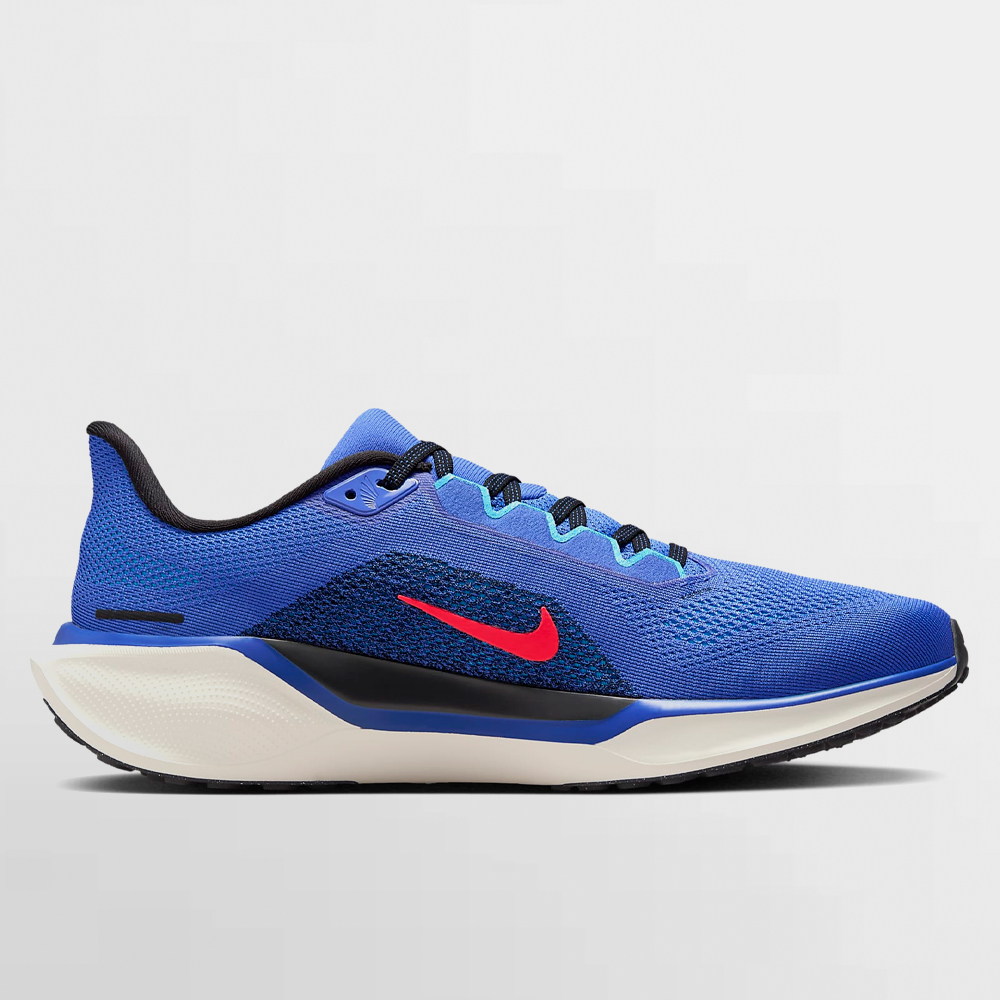 NIKE CALZADO PEGASUS 41 - FD2722 401
