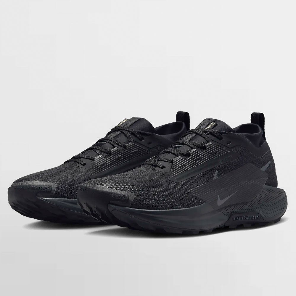 NIKE CALZADO PEGASUS TRAIL 5 GORE-TEX - FQ0908 002