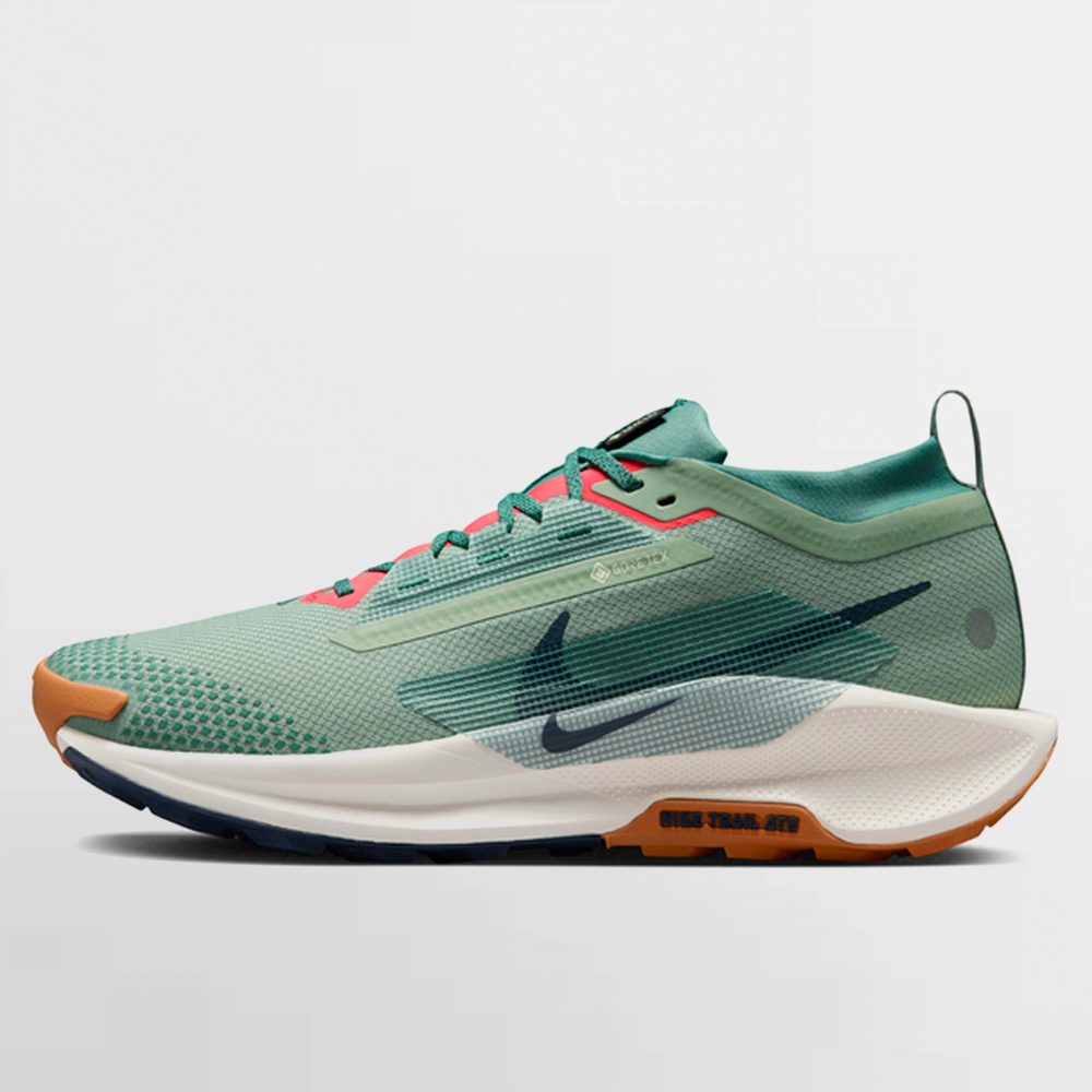 NIKE CALZADO PEGASUS TRAIL 5 GORE-TEX - FQ0908 300