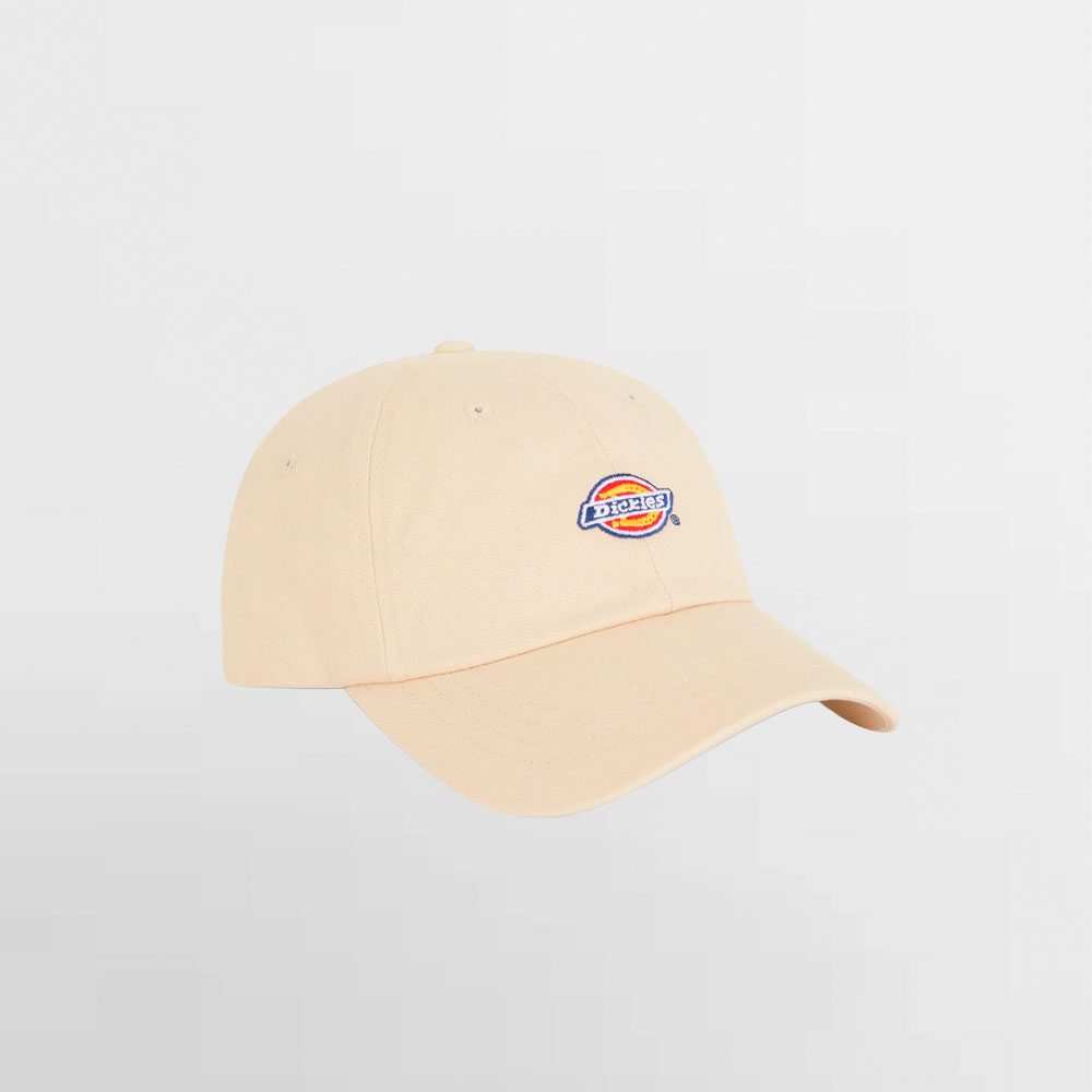 DICKIES GORRA HARDWICK WHITECAP - DK0A4TKVF90