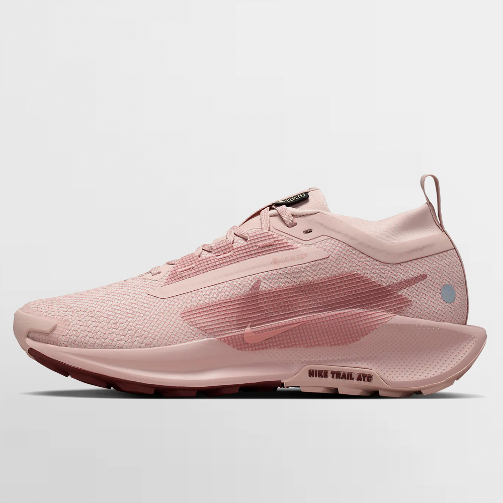 NIKE CALZADO W. PEGASUS TRAIL 5 GORE-TEX - FQ0912 601
