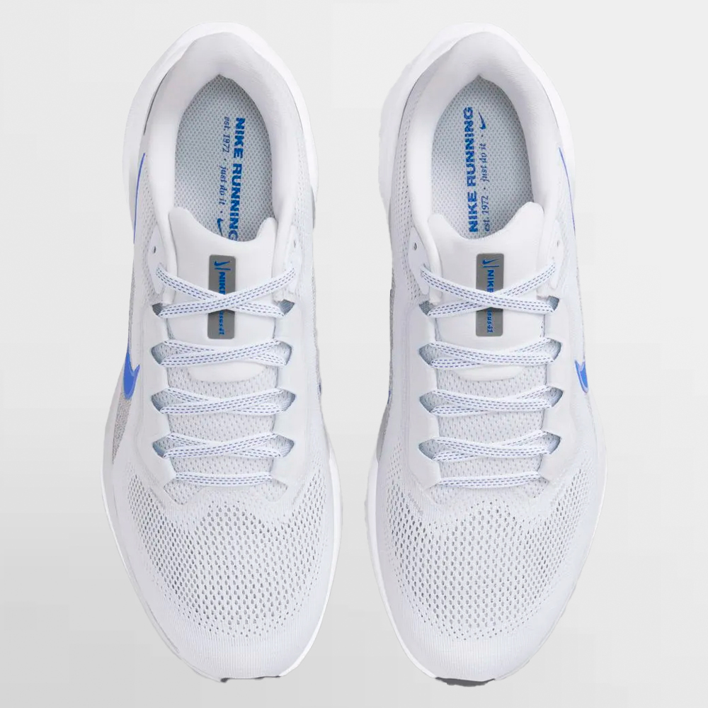 NIKE CALZADO PEGASUS 41 - FD2722 110