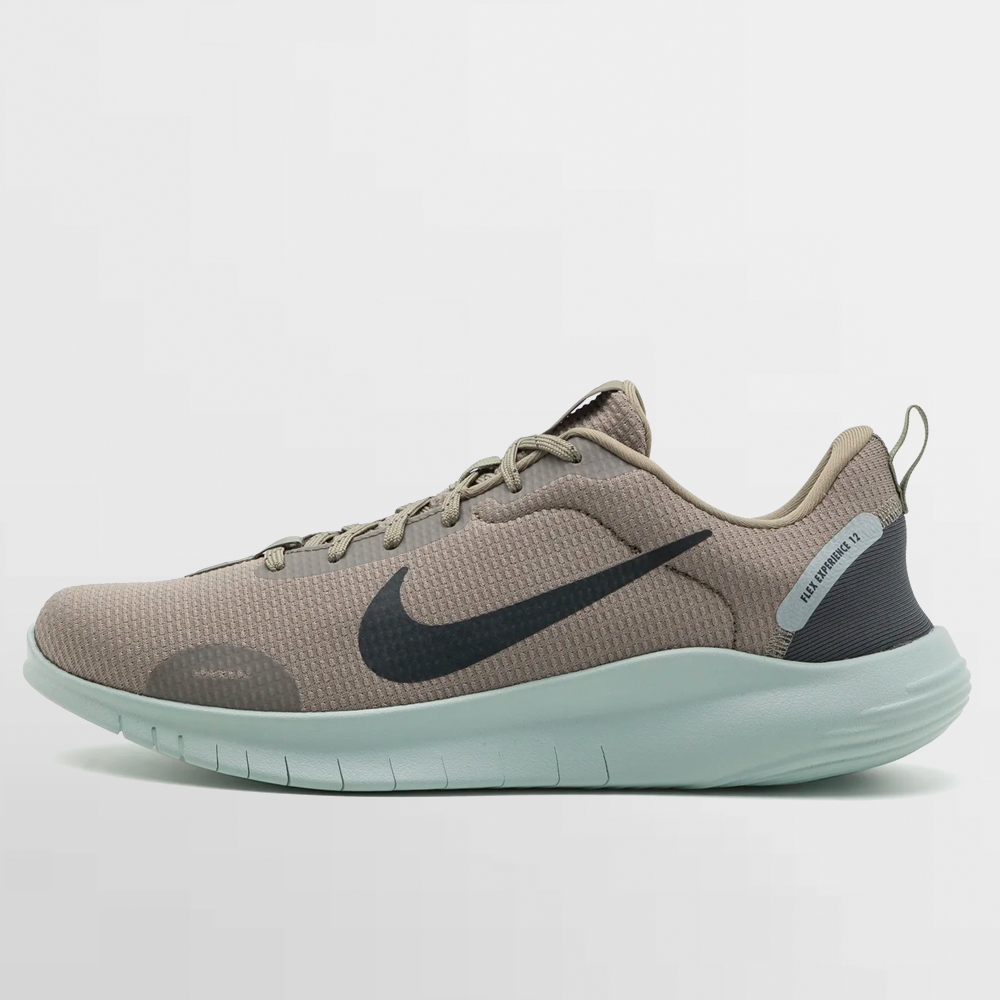 NIKE CALZADO FLEX EXPERIENCE RUN 12 - DV0740 300