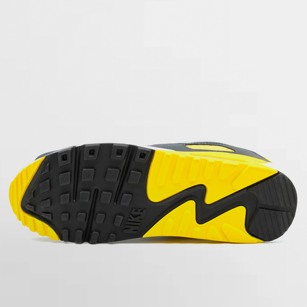 NIKE CALZADO AIR MAX 90 - DM0029 111