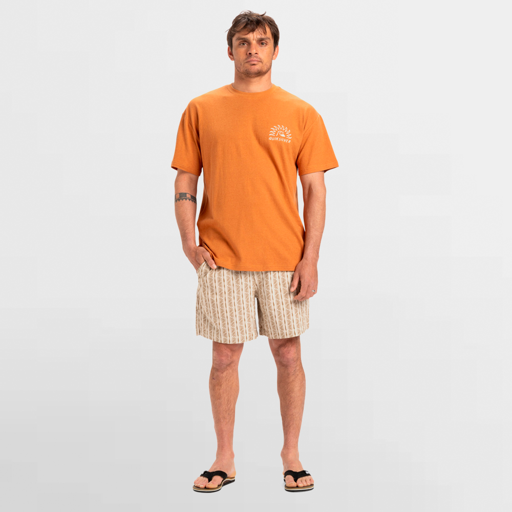 QUIKSILVER BERMUDA TAXER JACQUARD STREETWAY WAY - EQYWS03893 SFA6