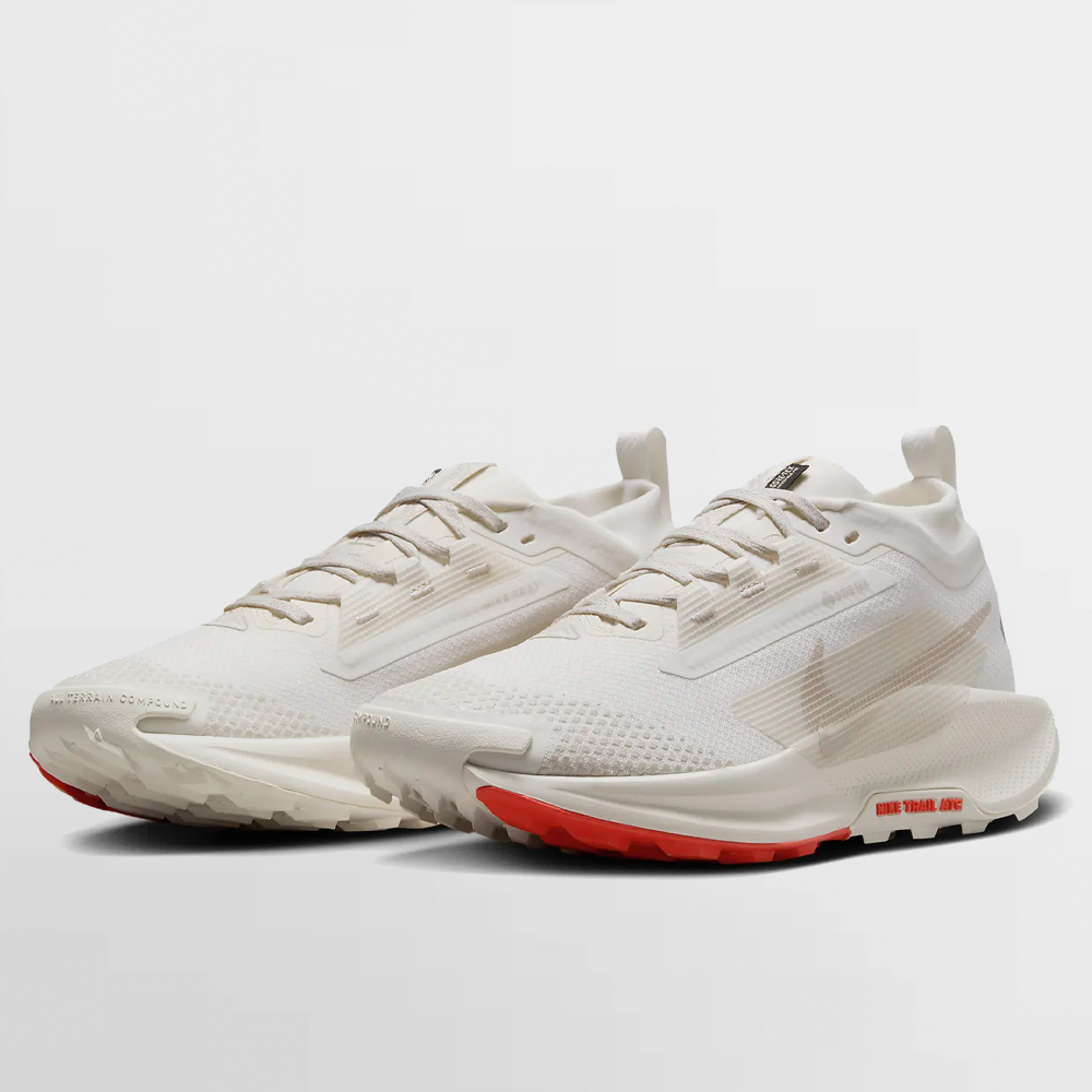 NIKE CALZADO W. PEGASUS TRAIL 5 GORE-TEX - FQ0912 100