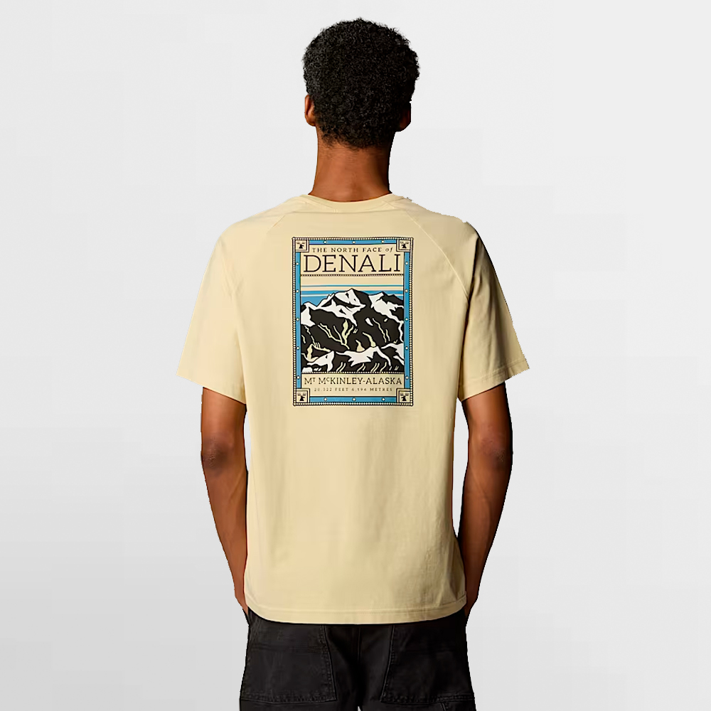 THE NORTH FACE CAMISA NORTH FACES TEE - NF0A87NU3X4