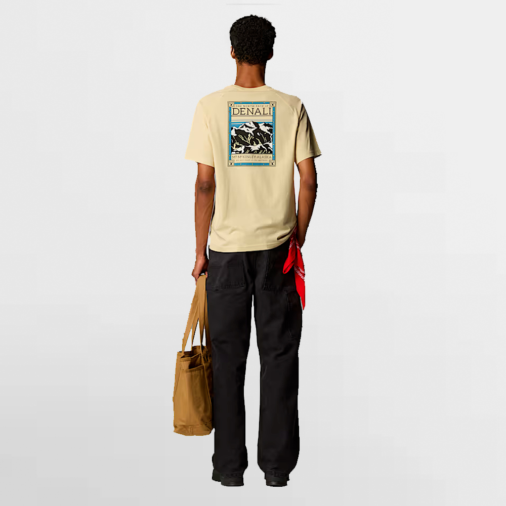 THE NORTH FACE CAMISA NORTH FACES TEE - NF0A87NU3X4