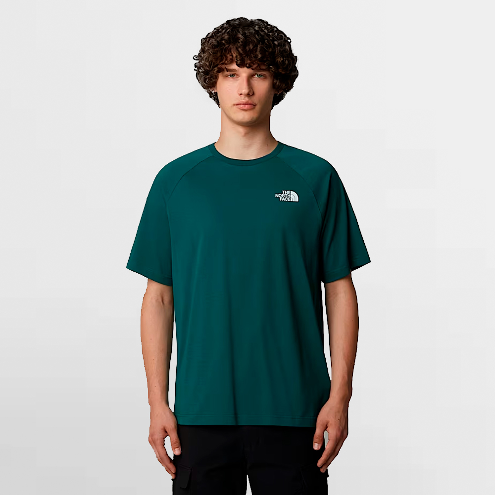 THE NORTH FACE CAMISETA NORTH FACES TEE - NF0A87NU6GI