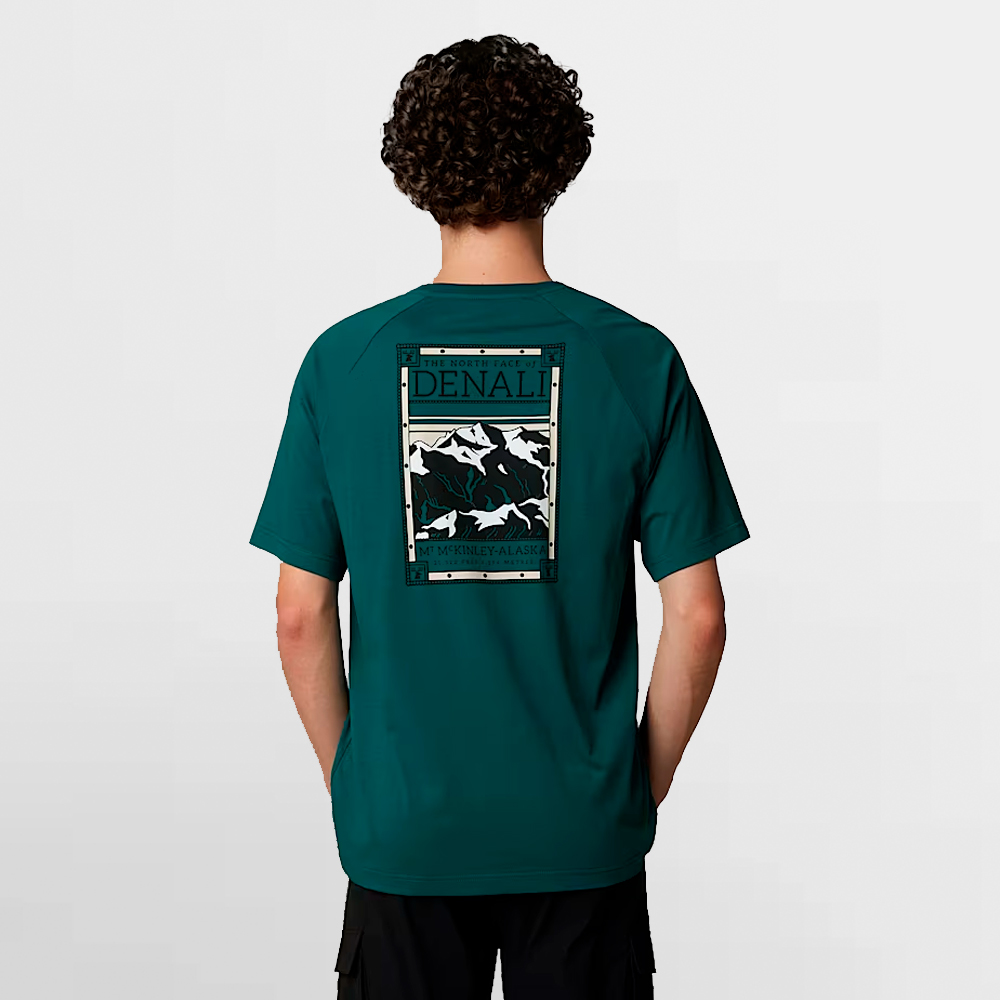 THE NORTH FACE CAMISETA NORTH FACES TEE - NF0A87NU6GI