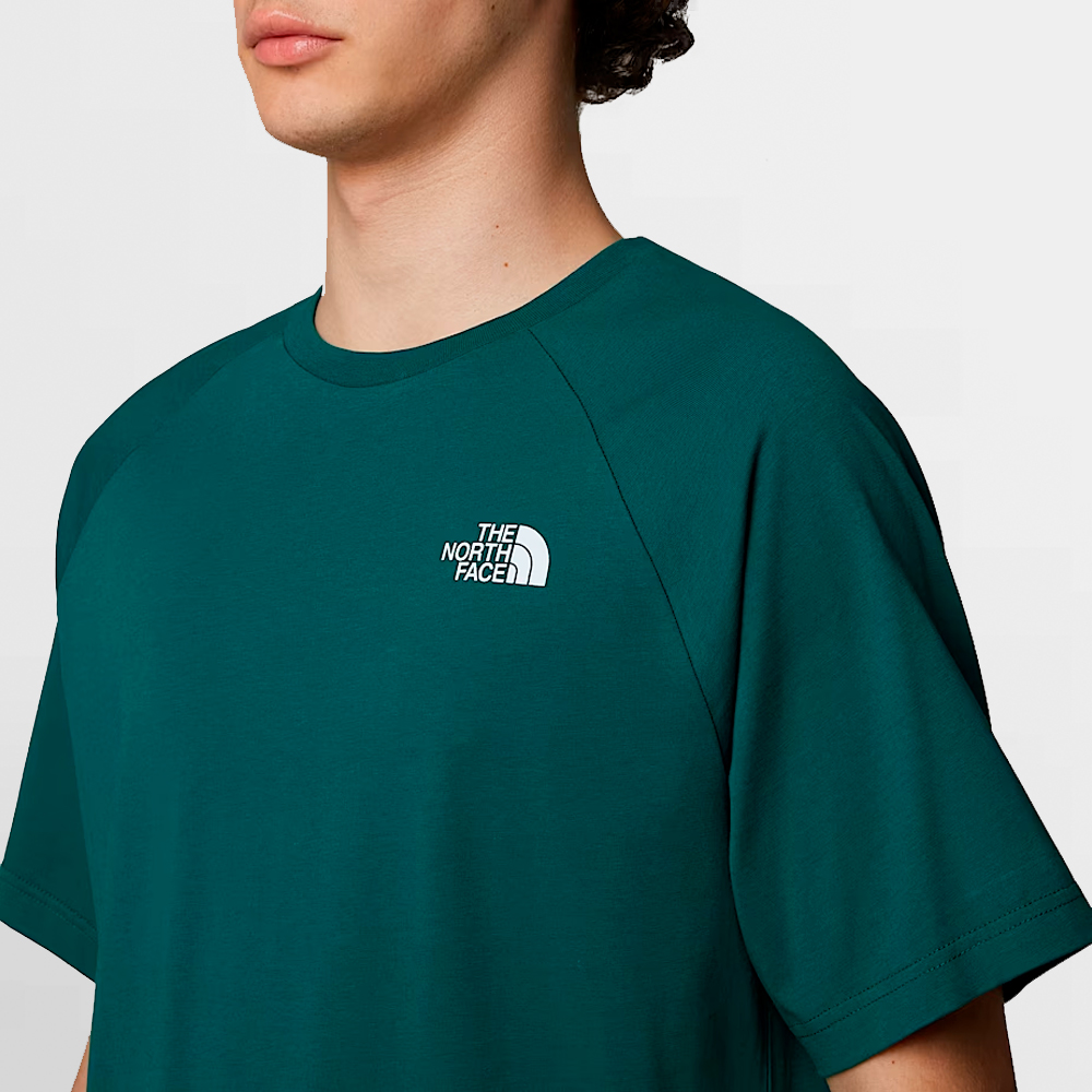THE NORTH FACE CAMISETA NORTH FACES TEE - NF0A87NU6GI