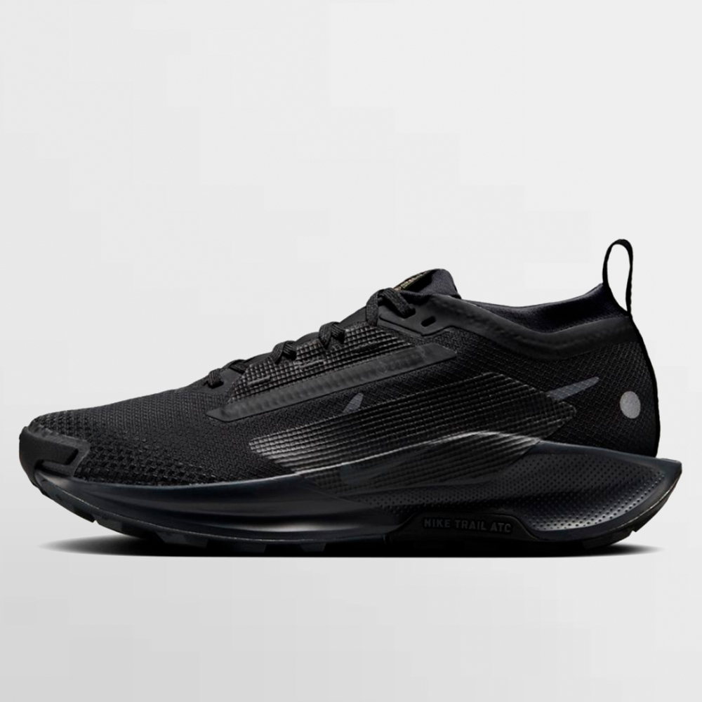 NIKE CALZADO W. PEGASUS TRAIL 5 GORE-TEX - FQ0912 002