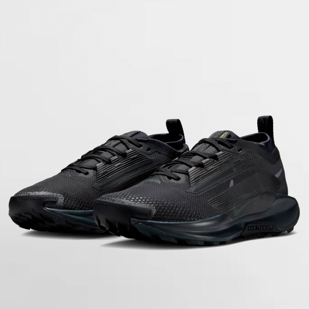 NIKE CALZADO W. PEGASUS TRAIL 5 GORE-TEX - FQ0912 002