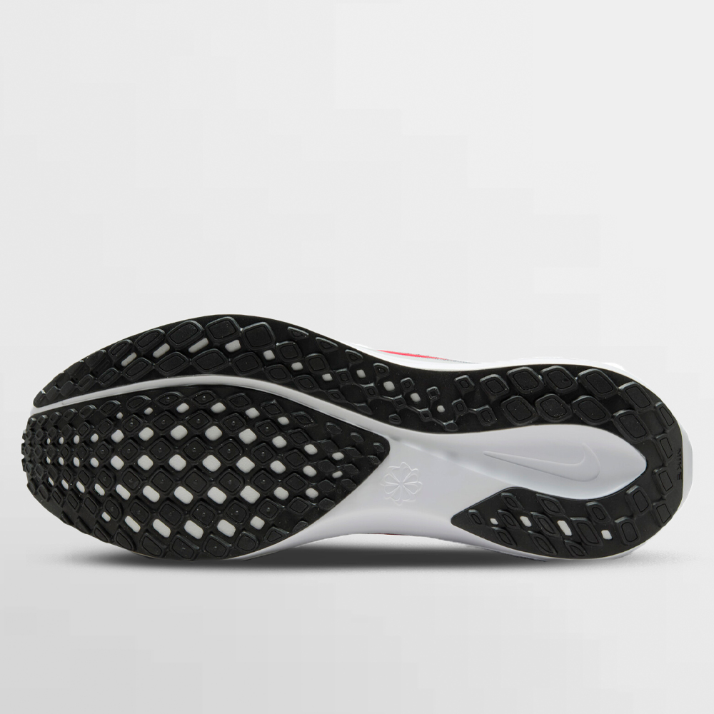 NIKE CALZADO PEGASUS 41 - FD2722 013