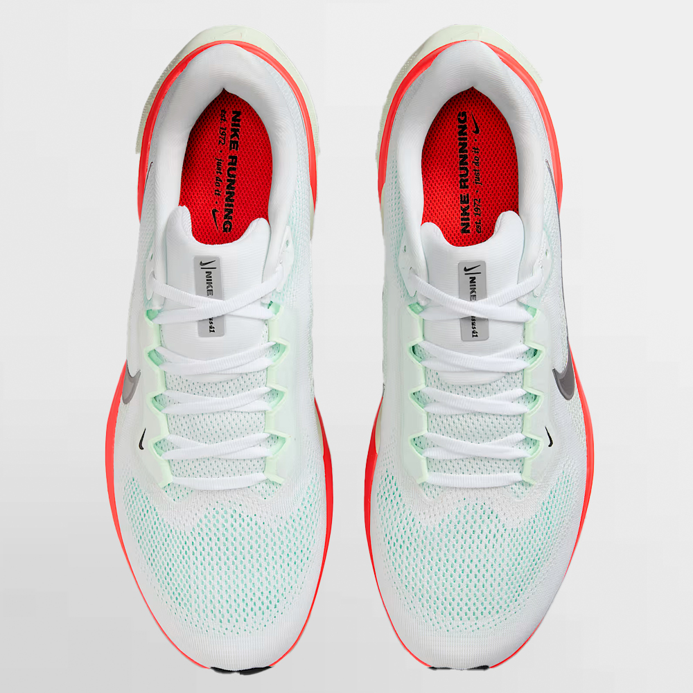NIKE CALZADO PEGASUS 41 - FD2722 115