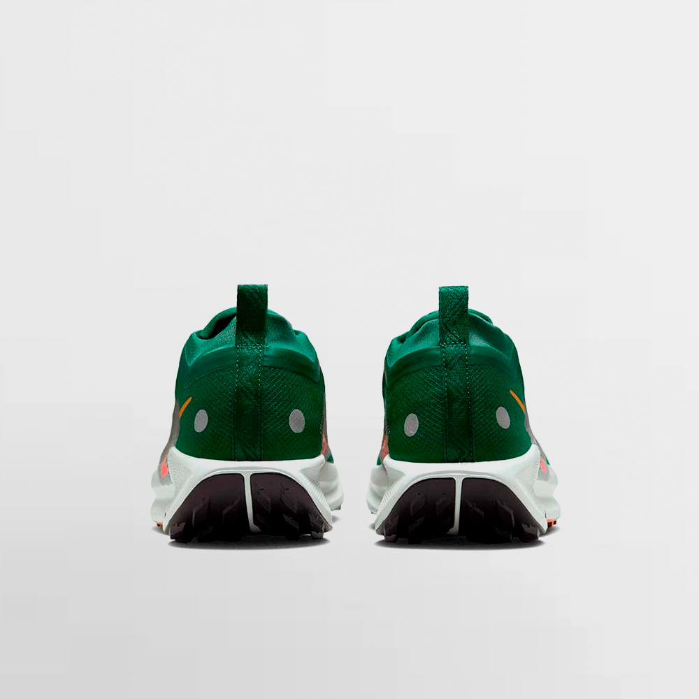 NIKE CALZADO PEGASUS TRAIL 5 GORE-TEX - FQ0908 301