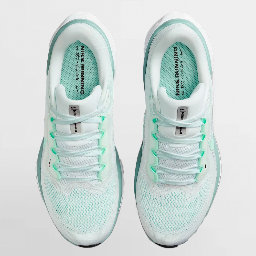 NIKE CALZADO W. PEGASUS 41 - FD2723 113