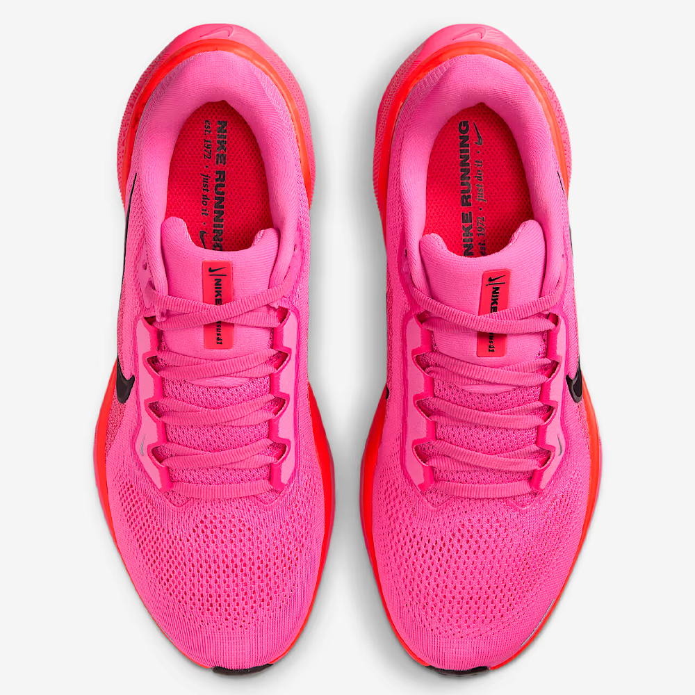 NIKE CALZADO W. PEGASUS 41 - FD2723 605