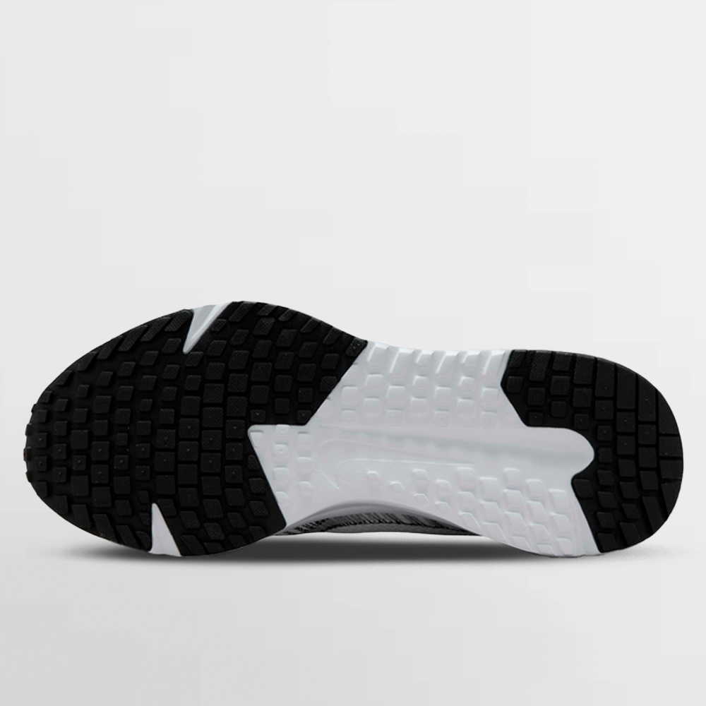 NIKE CALZADO W. RUN DEFY - HM9593 101