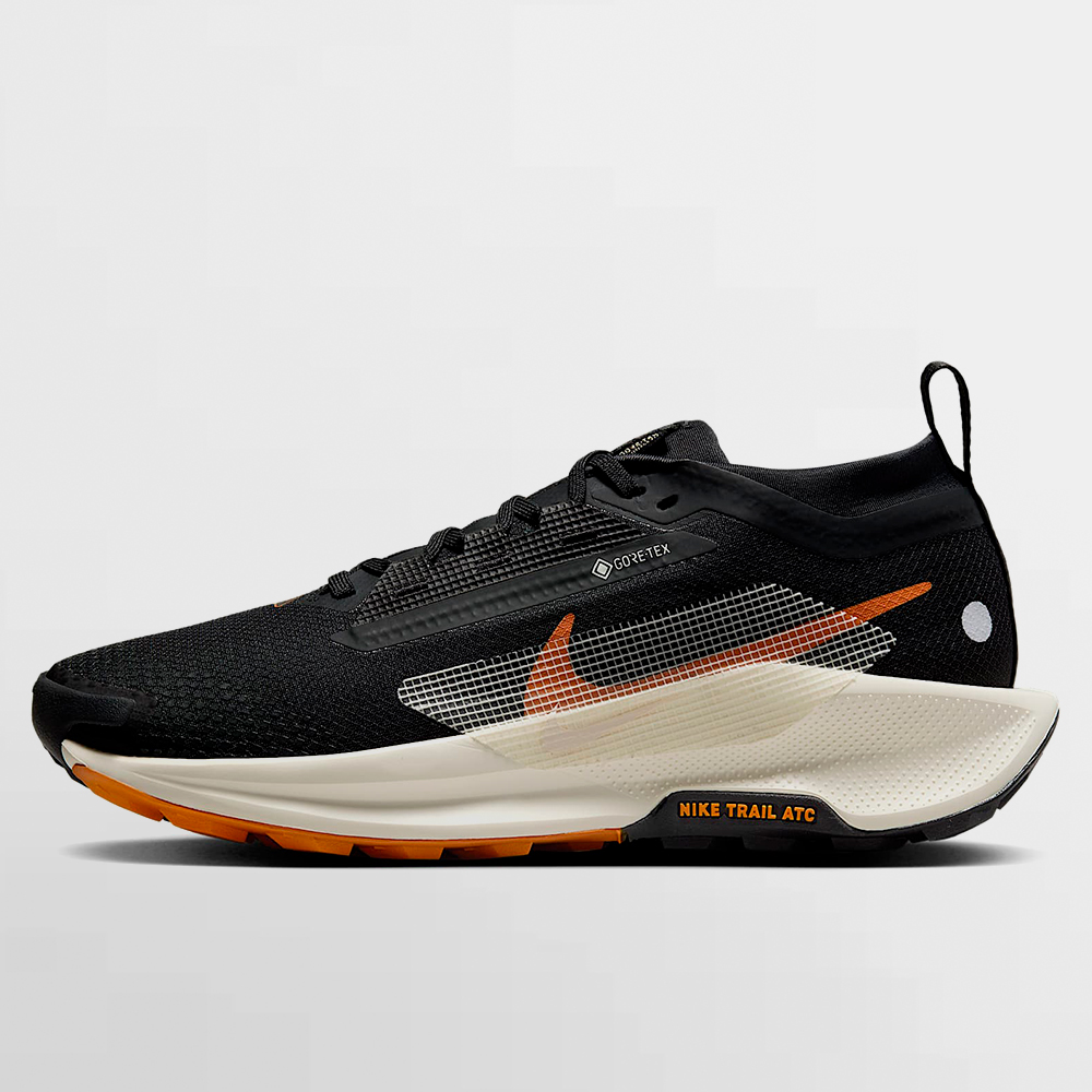 NIKE CALZADO W. PEGASUS TRAIL 5 GORE-TEX - FQ0912 005