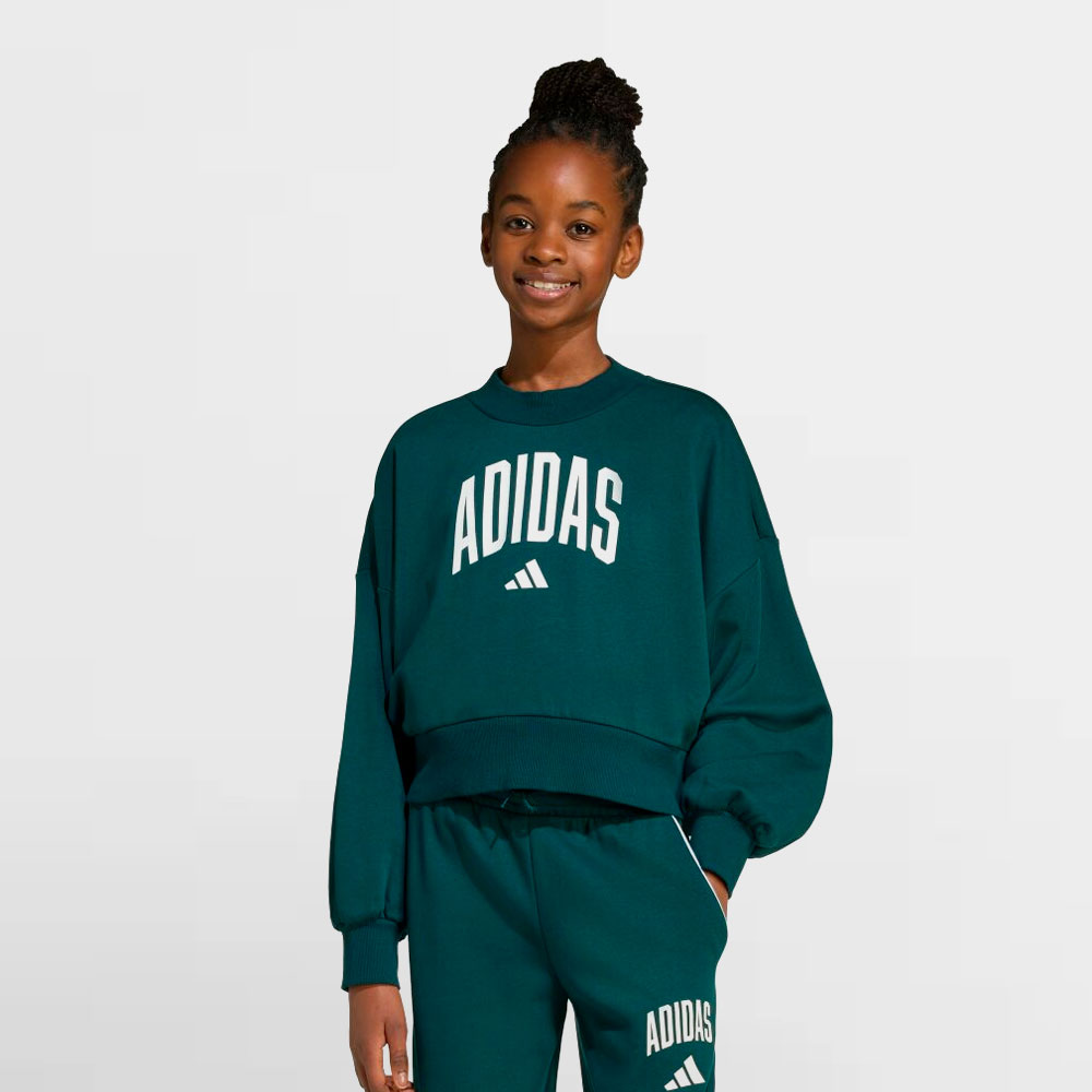 ADIDAS SUDADERA WG.JG CLGT FT SWT - JV7377