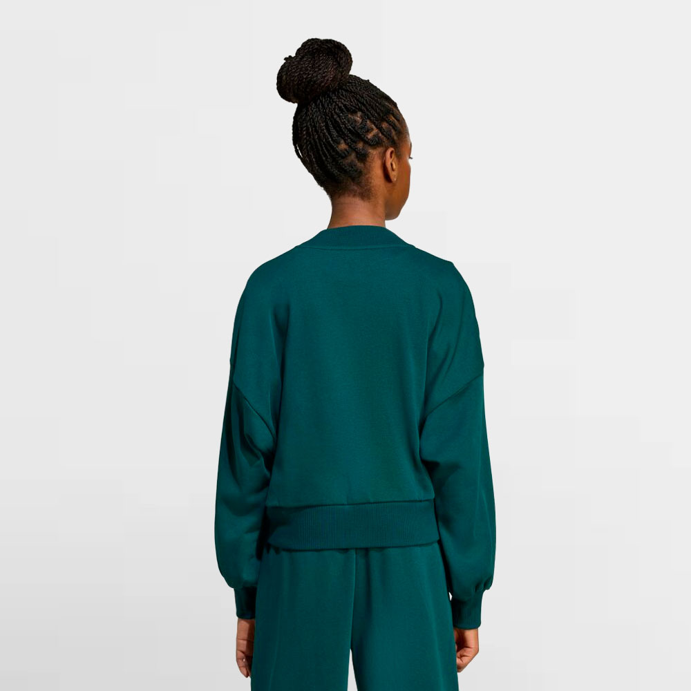 ADIDAS SUDADERA WG.JG CLGT FT SWT - JV7377