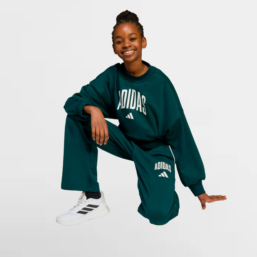 ADIDAS SUDADERA WG.JG CLGT FT SWT - JV7377