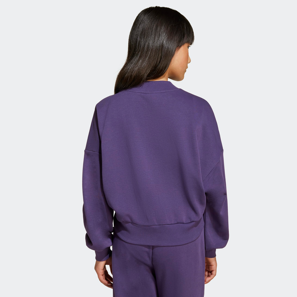 ADIDAS SUDADERA WG. JG CLGT FT SWT - JV7379