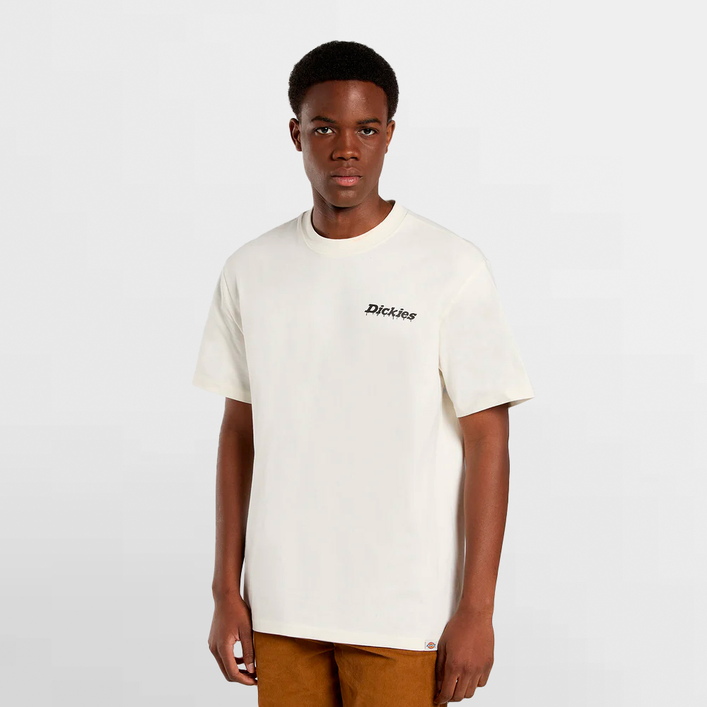 DICKIES CAMISETA STATESVILLE TEE SS - DK0A87QPC48