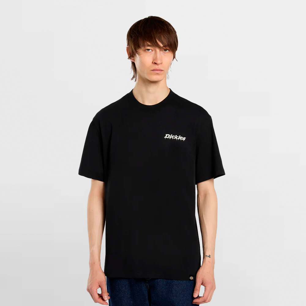 DICKIES CAMISETA STATESVILLE TEE SS - DK0A87QPBLK