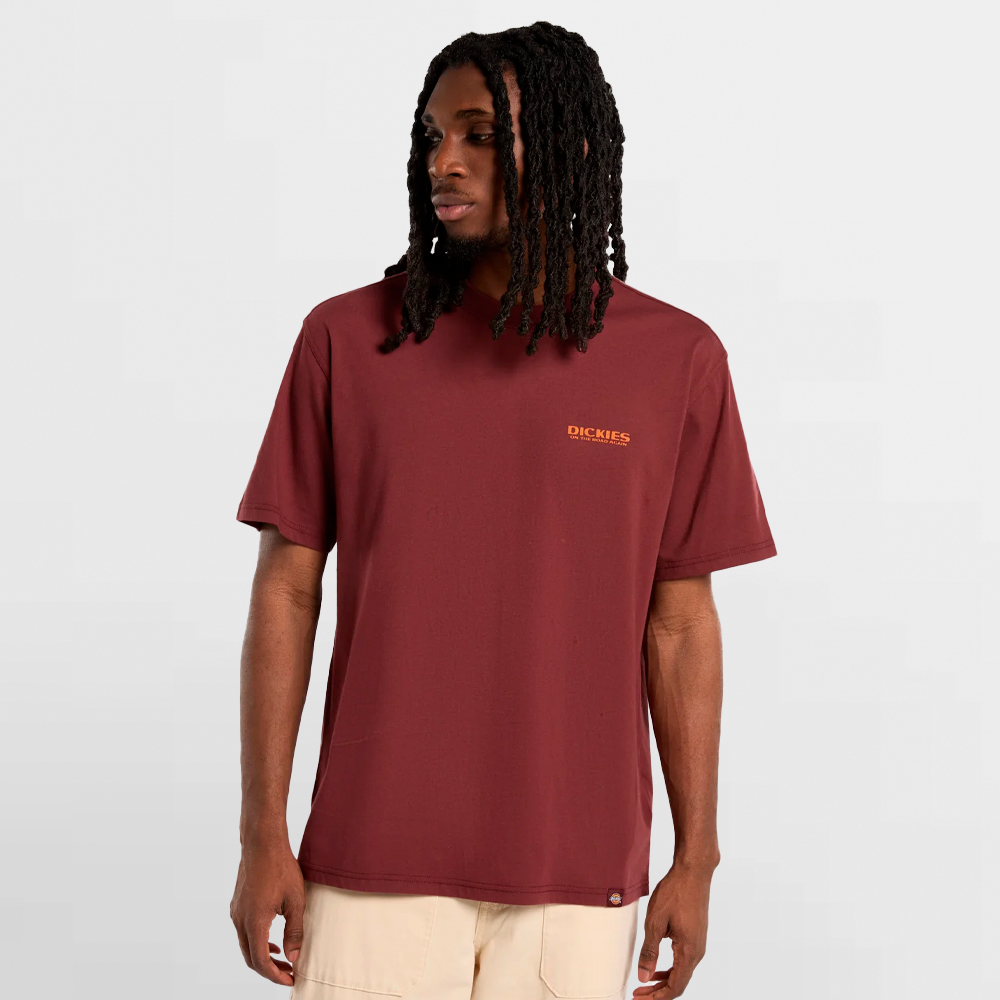 DICKIES CAMISETA BURNS TEE SS - DK0A87QIL16