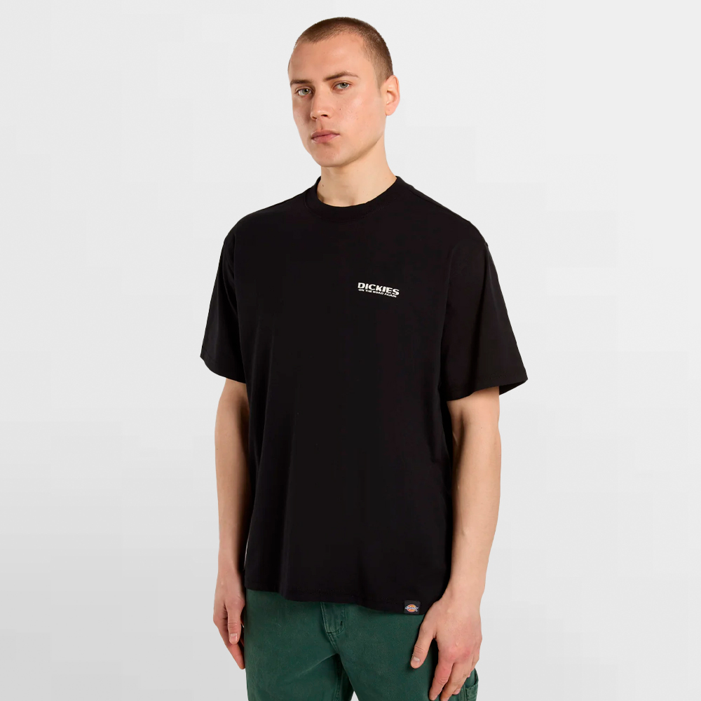 DICKIES CAMISETA BURNS TEE SS - DK0A87QIBLK