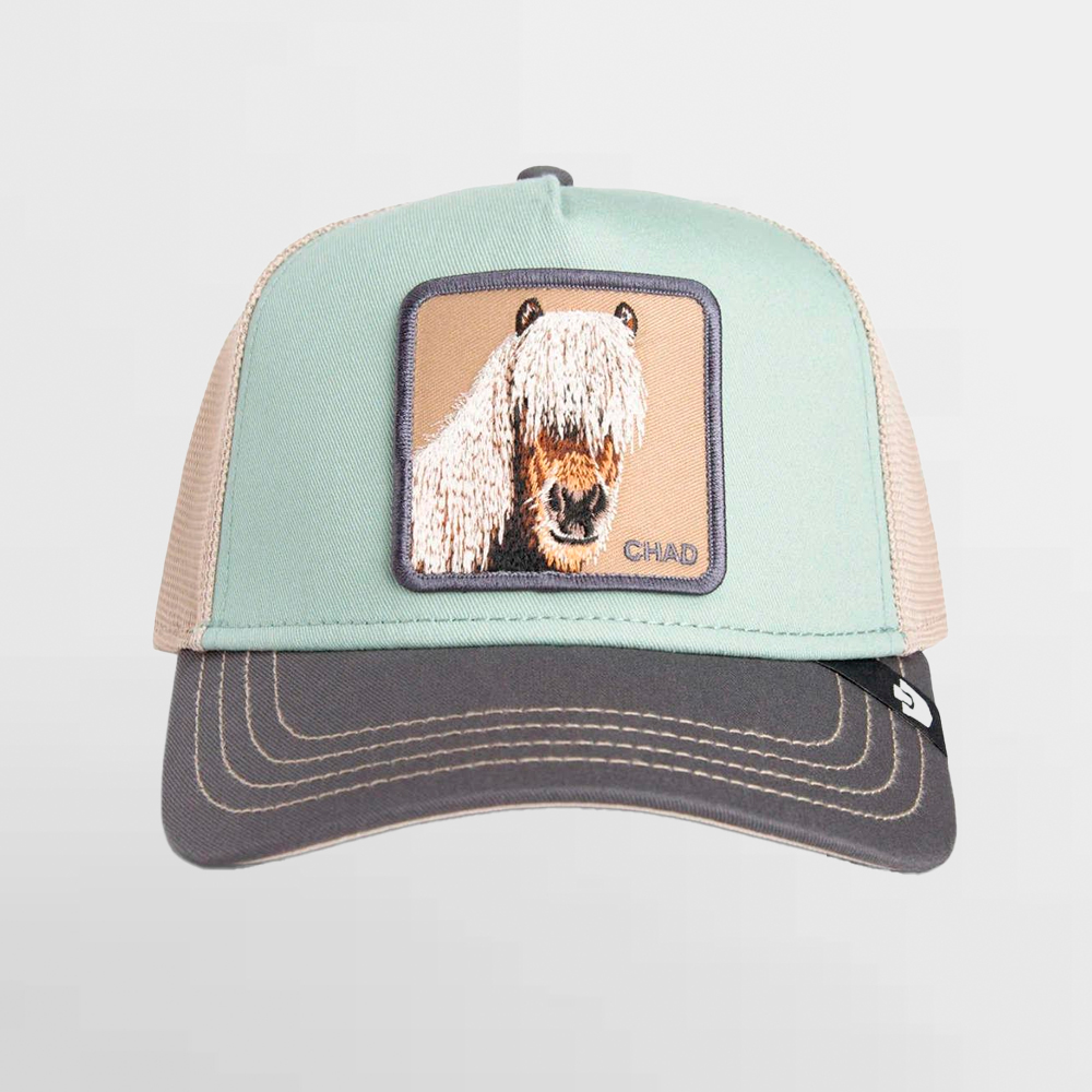 GOORIN GORRA TRICOLOR HORSE - 101-2342-MULTI