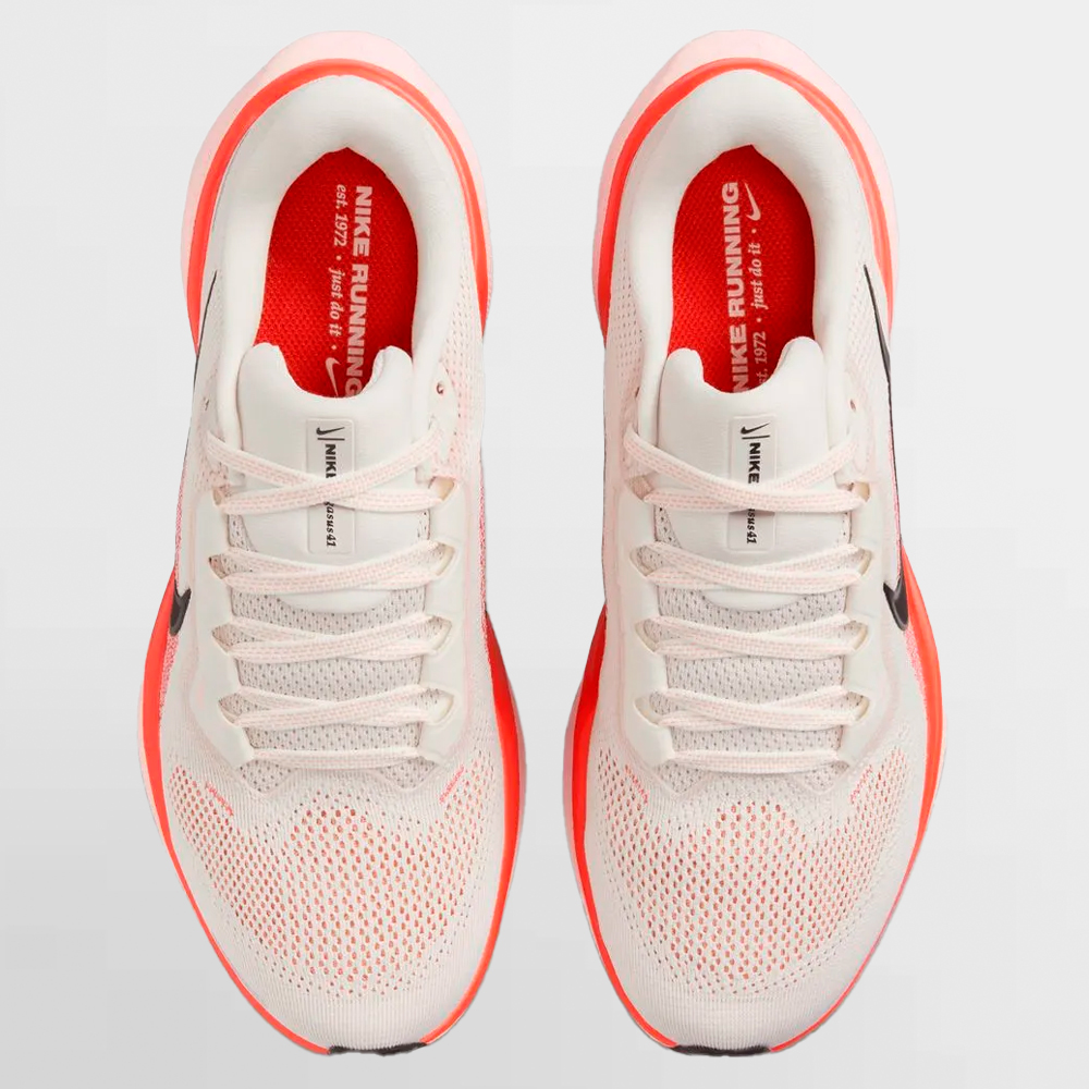 NIKE CALZADO W. PEGASUS 41 - FD2723 011