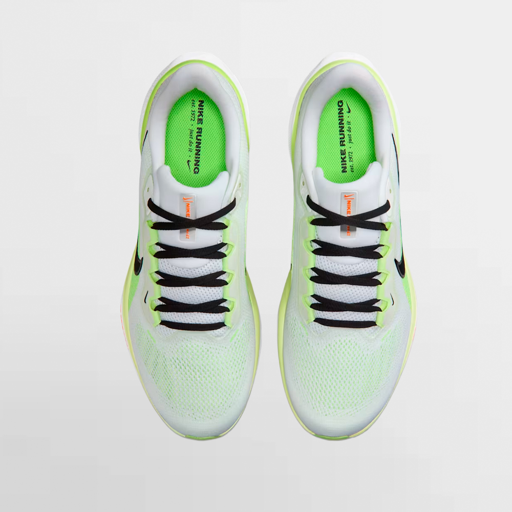 NIKE CALZADO PEGASUS 41 - FD2722 120