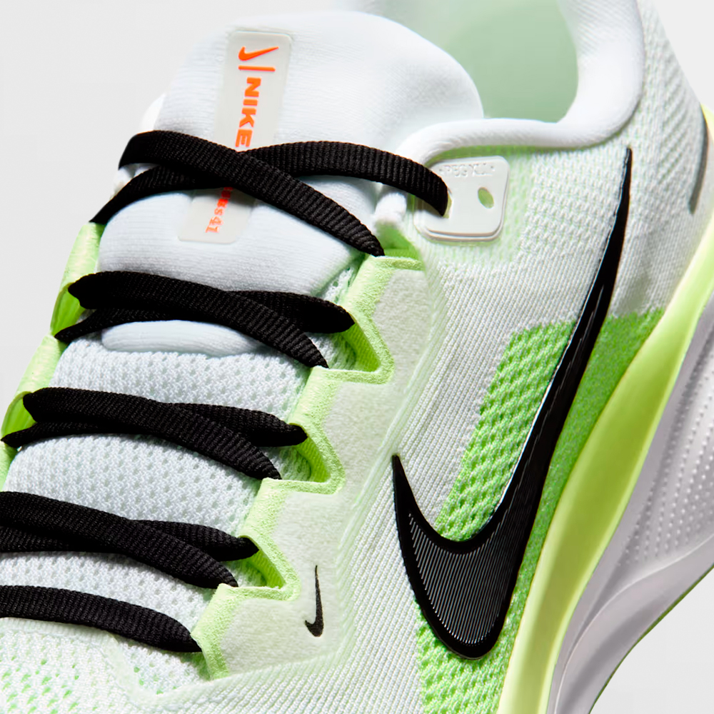 NIKE CALZADO PEGASUS 41 - FD2722 120