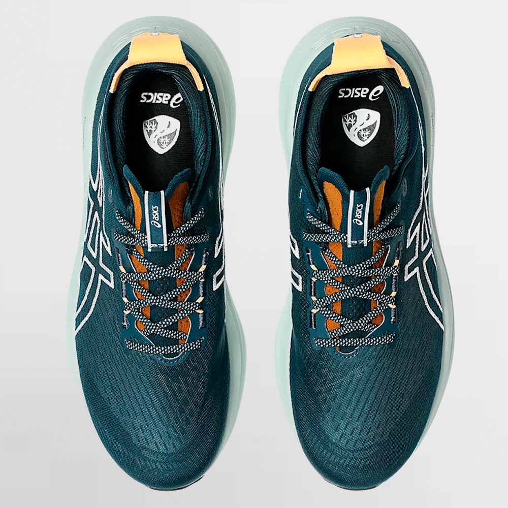 ASICS CALZADO GEL-NIMBUS 27 TR - 1011C136 300