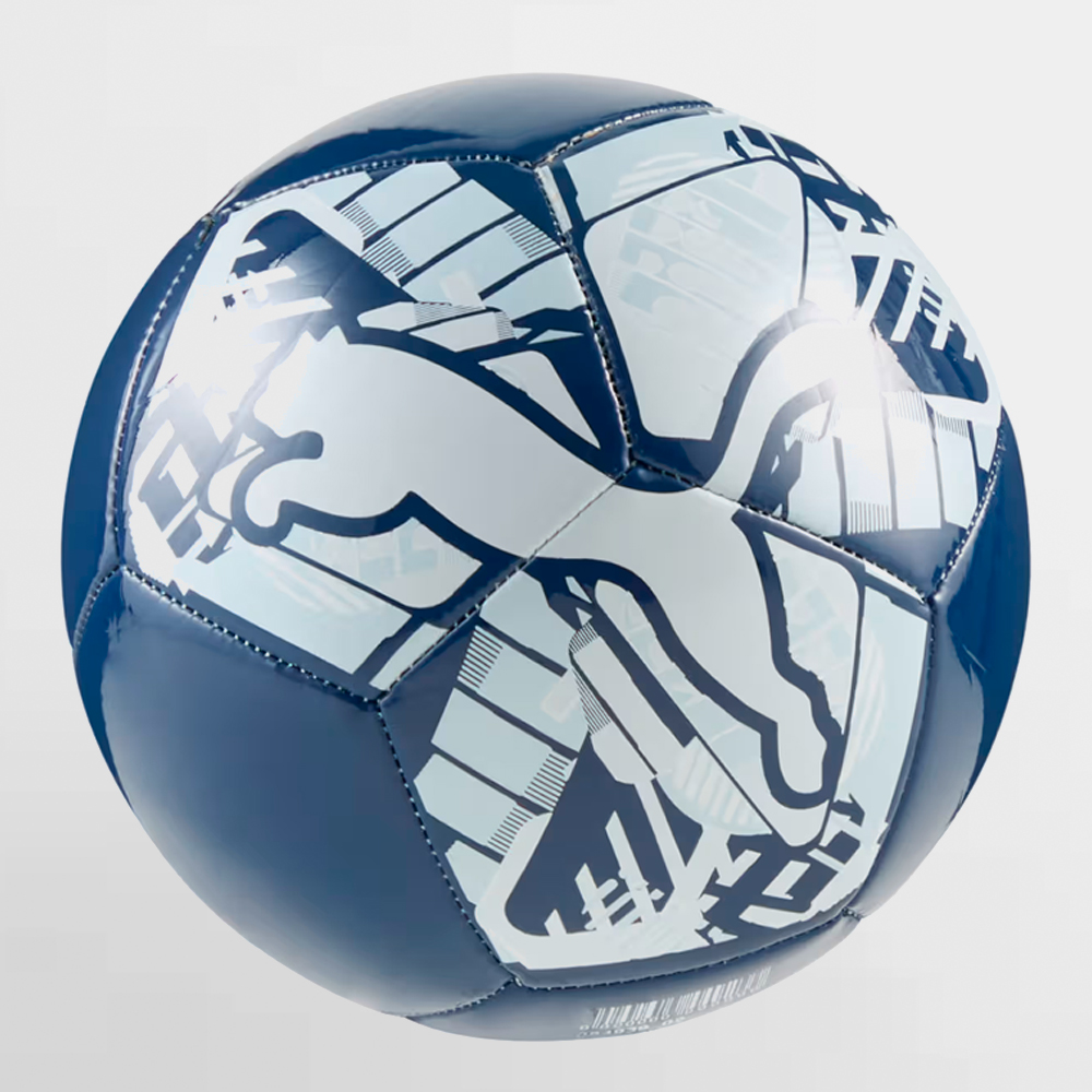 PUMA BALON BIG CAT BALL - 084937 02