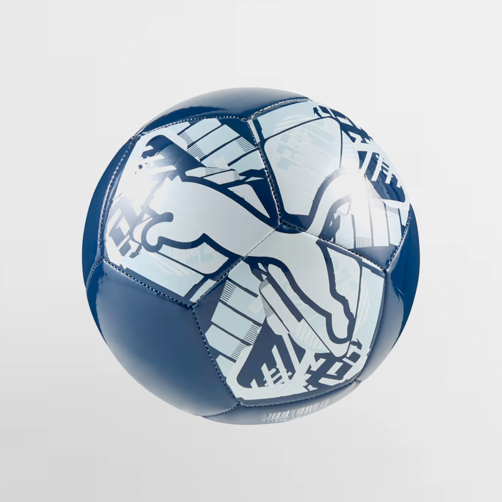 PUMA BALON BIG CAT MINIBALL - 084939 02