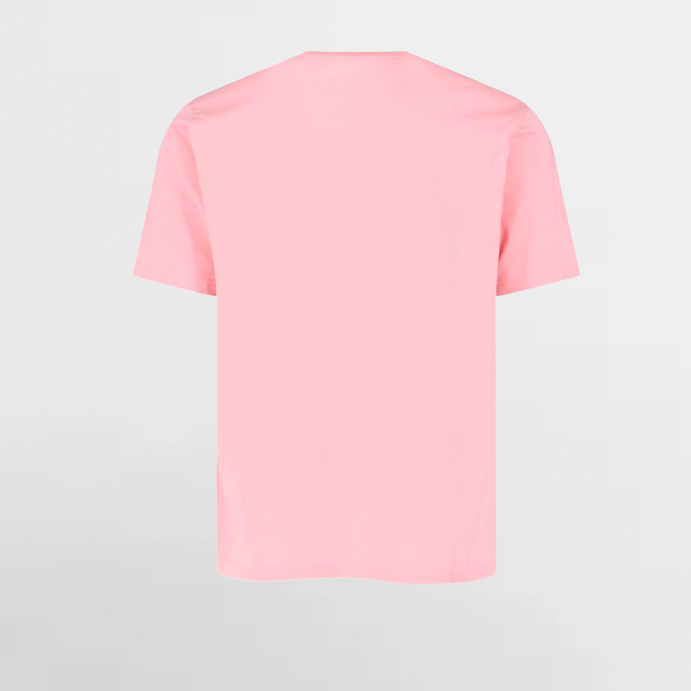 DICKIES CAMISETA MAPLETON SS TEE - DK0A4XDBL47