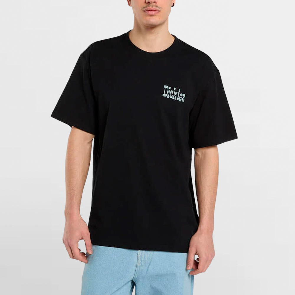 DICKIES CAMISETA VERNAL SS TEE - DK0A88JVBLK