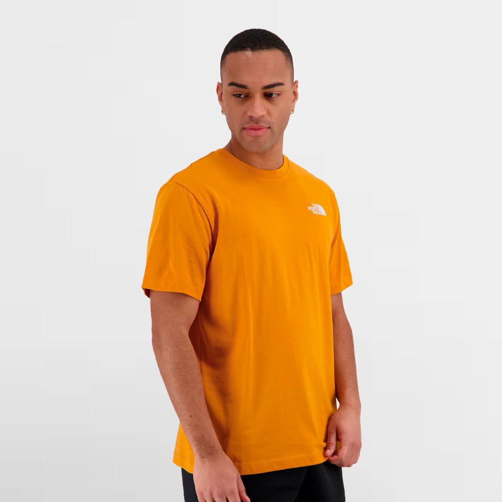 THE NORTH FACE CAMISETA EVOLUTION BOX NSE REGULAR - NF0A8B6KG5I