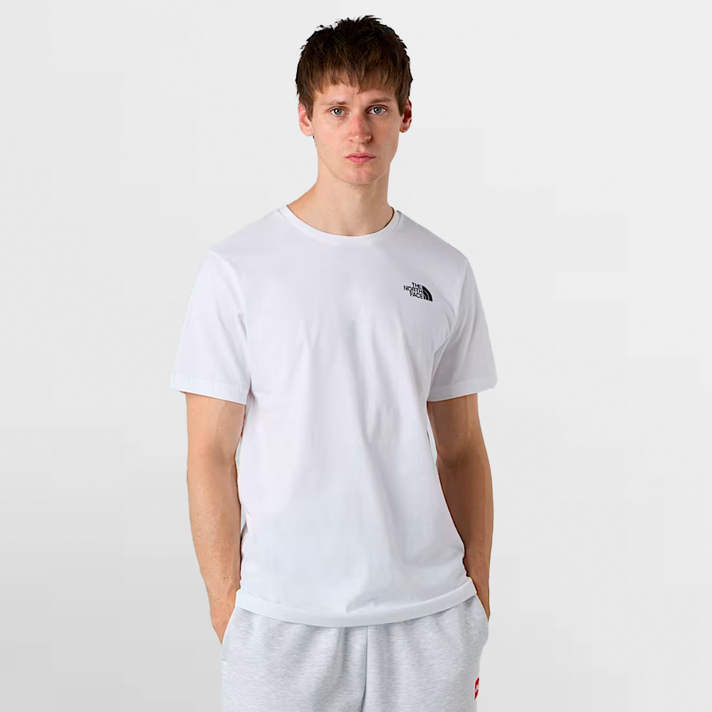 THE NORTH FACE CAMISETA BOX NSE CELEBRATION - NF0A8GV2FN4